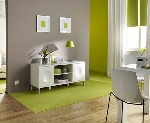 Conseils de Décoration de Salon : Transformez votre Espace avec la Peinture