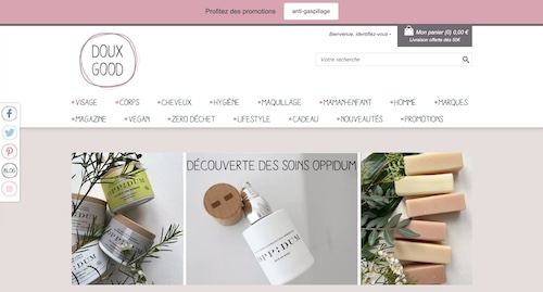Le Boom des Boutiques en Ligne : L&rsquo;Ère du E-commerce
