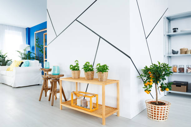 Peinture Murale : Sublimez Votre Salon avec une Décoration Murale Élégante