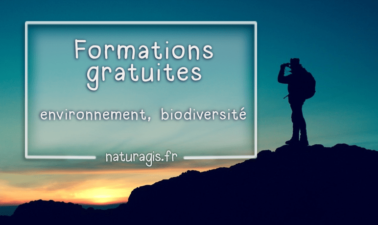 Découvrez une Formation SIG en Ligne Gratuite de Qualité